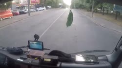 1783421612396.webm