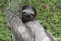 1783427565666.jpg
