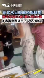 1783428814216.webm
