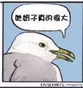 1783490306963.jpg
