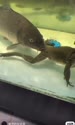 1783498000517.webm
