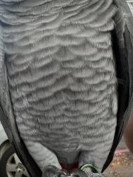 1783517830000.jpg