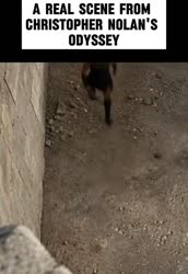 1783582791071.webm