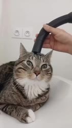 1783584581624.webm