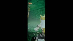 1783591201058.webm