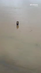1783595045241.webm