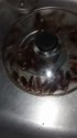 1783599319883.webm