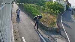 1783600652946.webm