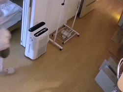1783603077652.webm
