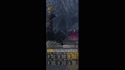 1783606240225.webm