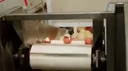 1783614982245.webm