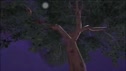 1783615096882.webm
