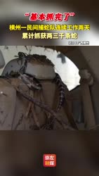 1783623265664.webm