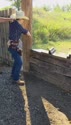 1783641168812.webm
