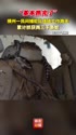 1783659962108.webm