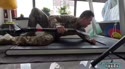 1783666734196.webm