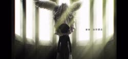 1783668959214.webm