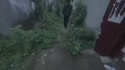 1783694609495.webm