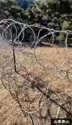 1783694782589.webm