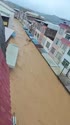 1783695725902.webm