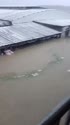1783695772572.webm