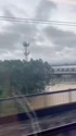 1783696531747.webm