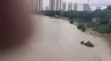 1783696708662.webm