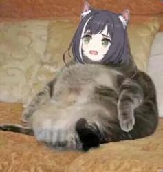 1783696721285.png