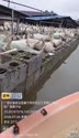 1783697277471.webm