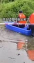 1783697942204.webm
