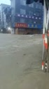 1783698213156.webm