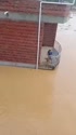 1783698662047.webm