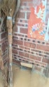 1783698701471.webm