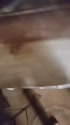 1783698972324.webm