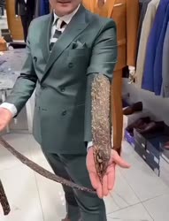 1783700066134.webm