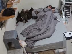 1783728504896.webm