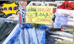 779 KB