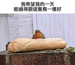 53 KB