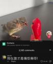 49 KB