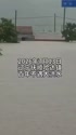 2605 KB