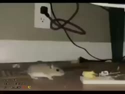 452 KB