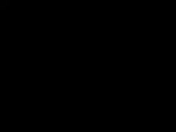 3684 KB